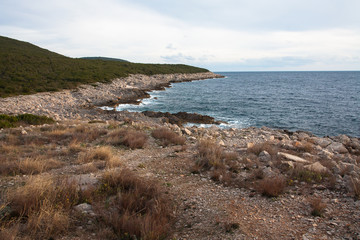 Desert seashore at winter day