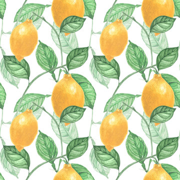 Light Botanical Lemon Seamless Pattern