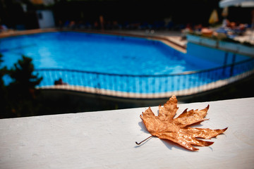 Yellow leaf lies near pool. Concept closing of swimming season, autumn, pool cysts
