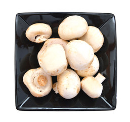 mushrooms isolated in black plate on white background