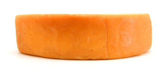 Cheese on white background