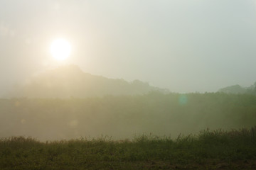 Landscape nature of plantation with mountain and Foggy on morning time with sunrise at Tambon Makham Khu, Amphoe Nikhom Phatthana, Rayong Thailand.