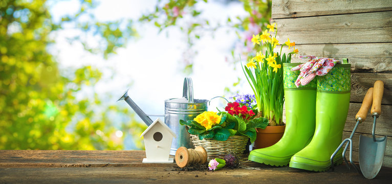 Gardening tools and spring flowers on the terrace