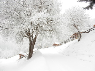 Trentino sotto la neve