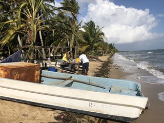 Belizean Fisherman hard at work