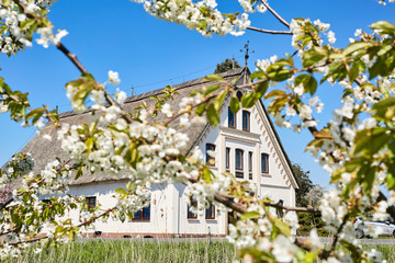 Reetgedecktes Haus im Alten Land