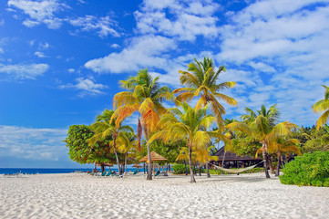 Palm trees on beautiful sandy exotic beach on Palm Island, Caribbean region of Lesser Antilles - obrazy, fototapety, plakaty