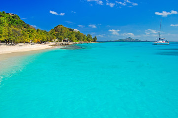 Wonderful tropical beach with catamaran boat on sea, Palm island, Caribbean region of Lesser Antilles - obrazy, fototapety, plakaty