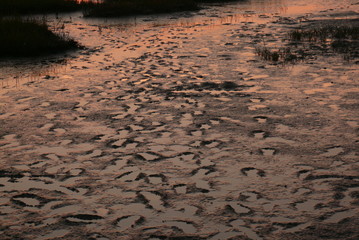 Fussspuren im Abendrot