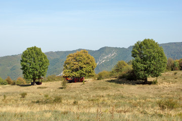 Amazing Landscape near Glozhene Monastery, Stara Planina Mountain  (Balkan Mountains), Lovech region, Bulgaria