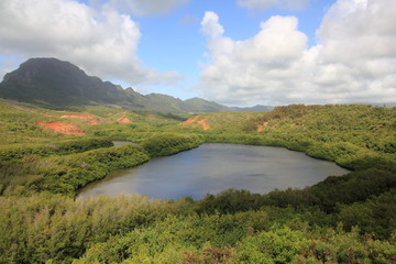 Menehune Fishpond Kauai Hawaii USA