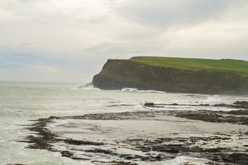 Coastal landscape, Curio Bay, gondwana supercontinent remains of ancient trees shaped in rocks, Catlins, New Zealand
