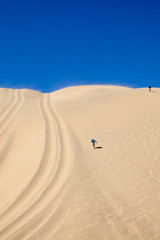 Fototapeta na wymiar Deserto della Namibia 