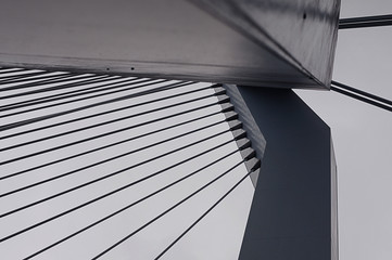 Erasmusbrug Erasmus Bridge in Rotterdam