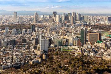 Fototapeta na wymiar Tokyo Shinjuku skylines