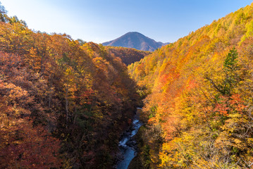 Nakatsugawa Fukushima Autumn