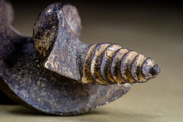 Joinery accessories in a large magnification. The tip of the drill is shown in macro technology.