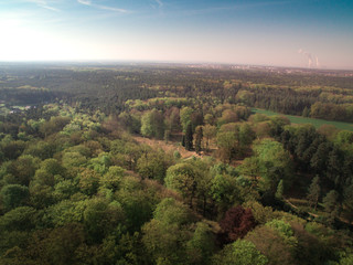 View of the river and forest from a height
