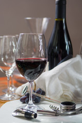 Professional red wine tasting event with high quality wine glasses and wine accessories
