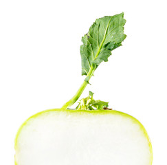 Kohlrabi or German turnip stem with green leaf cut in half inside longitudinal section isolated on white background