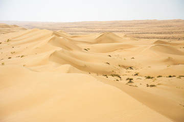Fototapeta na wymiar Wahiba Wüste in Oman