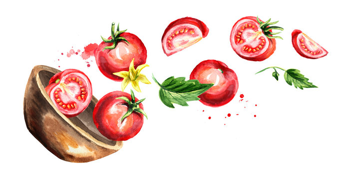 Bowl with ripe red tomatoes. Hand drawn horizontal watercolor illustration, isolated on white background