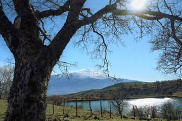 Fototapety na wymiar - Fototapeta24.pl