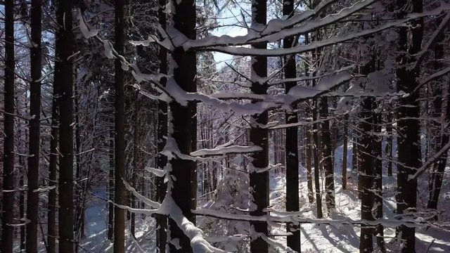 Flug durch traumhaft verschneite Berge