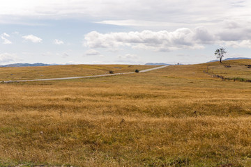 winding autumn road in the yellow box in Montenegro
