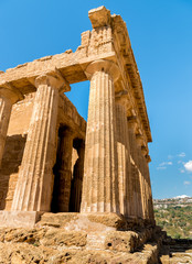 Fototapeta premium Temple of Concordia, located in the park of the Valley of the Temples in Agrigento, Sicily, Italy
