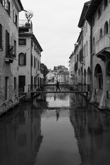 Naklejka premium Treviso