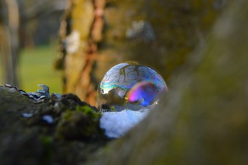 Seifenblase im Winter
