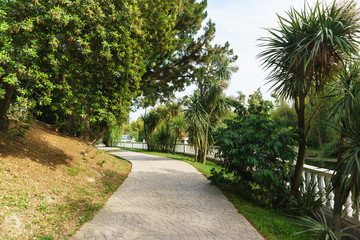 Walking road along the balustrade in the tropical resort city Park