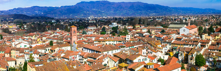 Fototapeta premium Zabytki Włoch - piękne średniowieczne miasto Lucca w Toskanii. Widok na miasto z wieży Guinigi