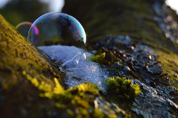 Seifenblase im Winter