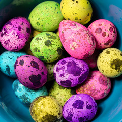 Easter multicolored dyed bright quail eggs