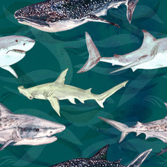 Sharks variety: Blue, Tiger, Whale and Hammerhead, hand painted watercolor illustration, seamless pattern on dark green ocean surface with waves background
