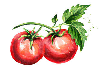 Red tomatoes composition. Watercolor hand drawn illustration, isolated on white background