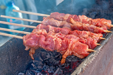 Marinated meat shashlik on preparing on barbecue grill. Roast Beef Kebabs being on BBQ in steam and smoke. Closeup of meat skewers over charcoal.