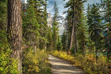 Autumn Hiking around Emerald Lake in Yoho National Park
