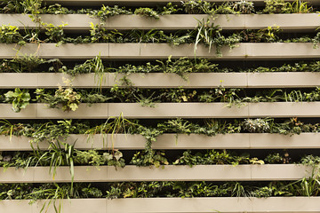 Plantas variadas creando un diseño de jardín.