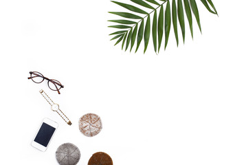 Palm leaf travel concept flat.