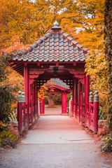 Fototapeta premium Japanischer Garten im Herbst