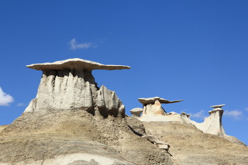 Stone Wings Bisti Wilderness Area New Mexico USA