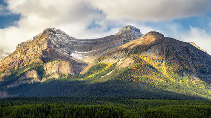 Fototapeta premium Autumn Larch Trees in Banff National Park near Lake Louise