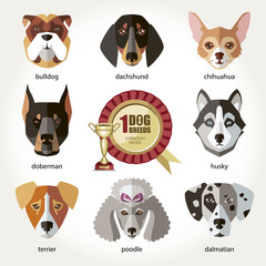 Dogs set icon head muzzles breed dogs bulldog dachshund husky chihuahua dalmatian doberman terrier poodle