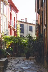 Sunny street in typical French village Collioure