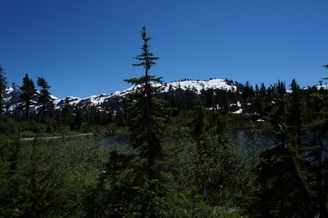 Naklejka premium Mt Shuksan