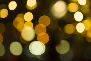 Nice blur bakcground, not in focus