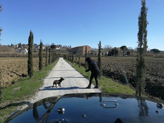Cane al guinzaglio con la padrona © fotoforfun